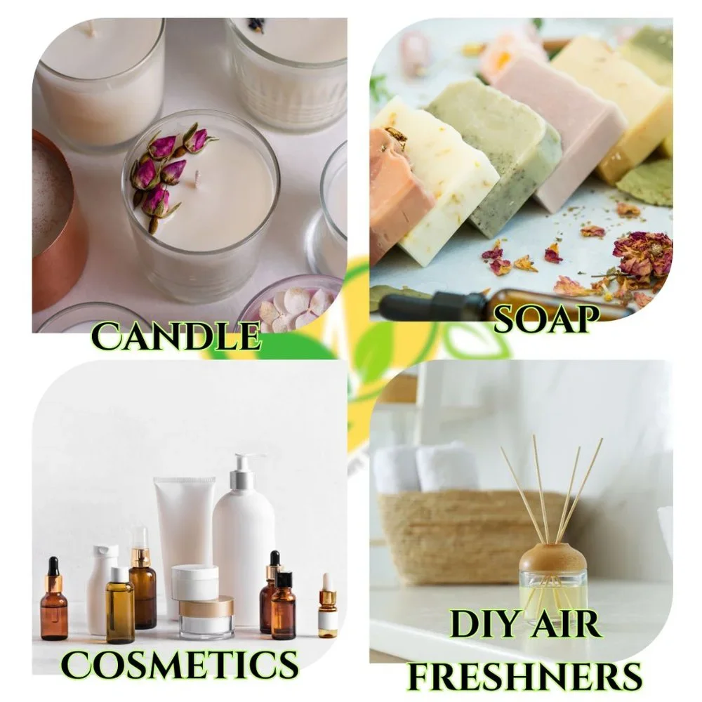 Fragrance Oil Scents For DIY Soap Candle Natural Concentrated Notes 2X 16 FL OZ - Picture 6 of 12
